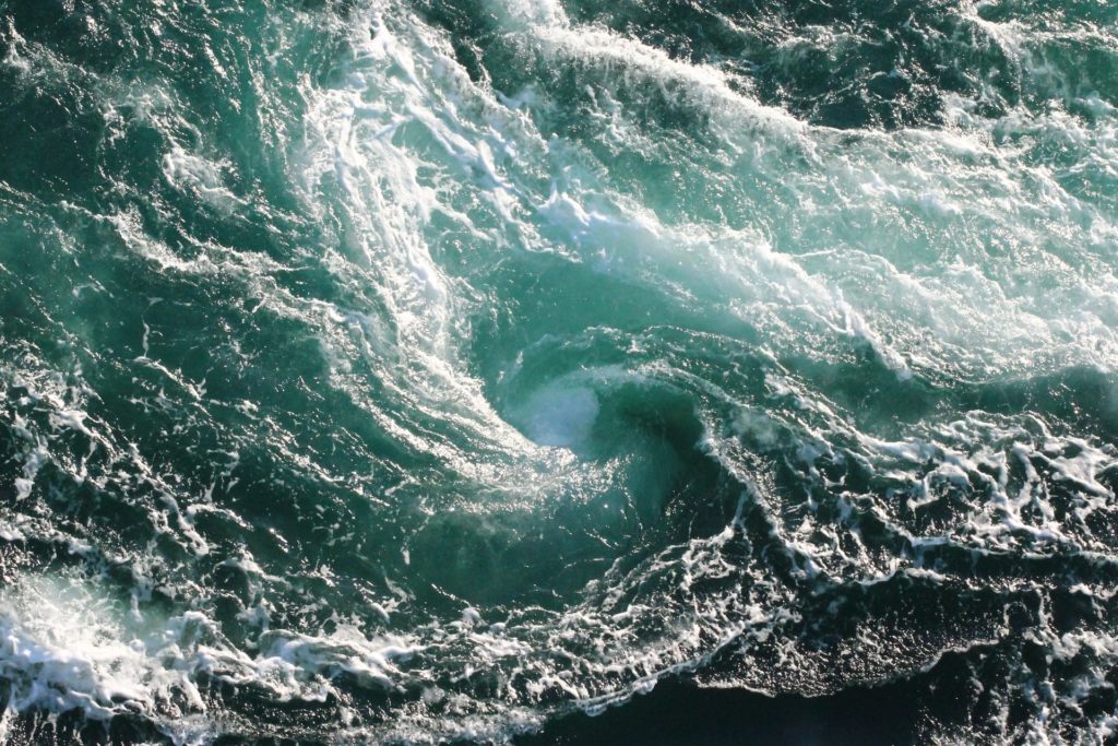 nordmannsreiser, norden, norge